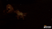 New York Drama GIF by ION Mystery
