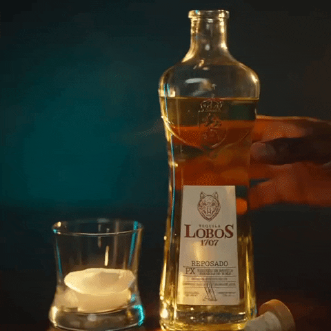 Cheers Reposado GIF by Lobos 1707 Tequila