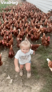 Adorable Little Girl and Her Army of Chickens