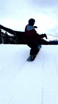 Frdm GIF