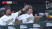 Sport Baseball GIF by MLB