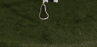 Lacrosse GIF by Lafayette Leopards