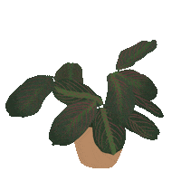 Plants Sticker