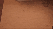 Animation No GIF by Nouns Movie