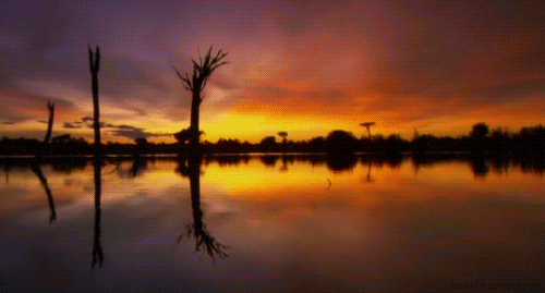 amazon landscape GIF by Head Like an Orange