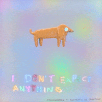 I don't expect anything