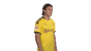 Proud Line Up Sticker by Bundesliga
