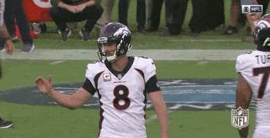 2018 Nfl Football GIF by NFL