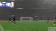 Celebrate Scottish Football GIF by Scotland National Team