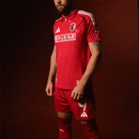 Stlcitysc GIF by St. Louis CITY SC