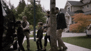 one by one fox GIF