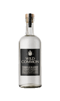 Wild_Common wildcommon tequila mezcal agave spirits alcohol wild common Sticker