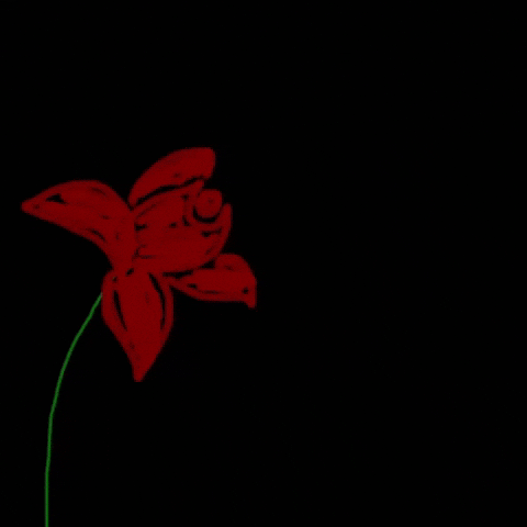 For You Flower GIF by Barbara Pozzi