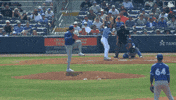 Blue Jays Mlb GIF by Toronto Blue Jays