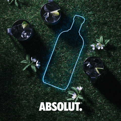 midsummer GIF by Absolut Vodka