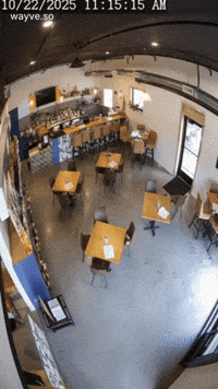 Mood Feels GIF by Darwin