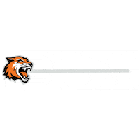 College Mascot Sticker by Rochester Institute of Technology