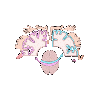 revmed brain neuro anatomy neuroscience Sticker