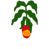 Chinese New Year Sticker by SC Asset