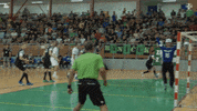 Handball Banik GIF by HCB Karviná