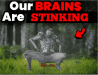 Our Brains GIF