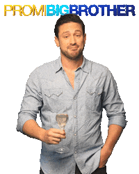 cheers champagne Sticker by ProSiebenSat.1