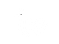 Bird Dream Sticker