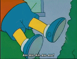 Season 1 GIF by The Simpsons