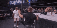 Chris Jericho Aew On Tnt GIF by All Elite Wrestling on TNT
