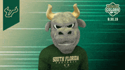 College Sports Bulls GIF by College Colors Day