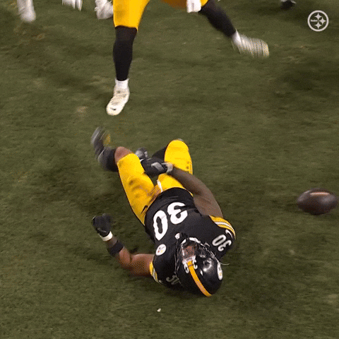 Excited Celebration GIF by Pittsburgh Steelers