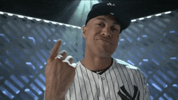 yesnetwork sports sport baseball mlb GIF