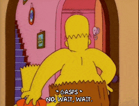 homer simpson GIF