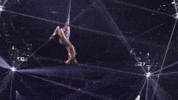 Spin Circus GIF by Ringling Bros. and Barnum & Bailey