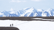FIU snow cold research alaska GIF