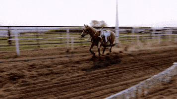 jonny harris canada GIF by CBC