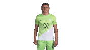 Happy Football Sticker by VfL Wolfsburg