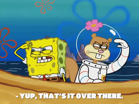 season 4 whale of a birthday GIF by SpongeBob SquarePants