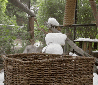 snow day love GIF by San Diego Zoo