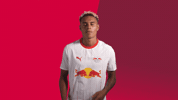 Dance Celebration GIF by RB Leipzig