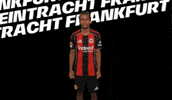 Bundesliga Tor GIF by Eintracht Frankfurt