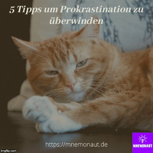 Mnemonaut giphyupload prokrastination GIF