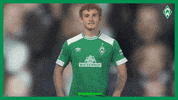 celebration goal GIF by SV Werder Bremen