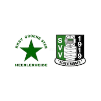Sport Heerlen Sticker by Groene ster