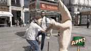 Ball Baile GIF by Alguna Pregunta Més?