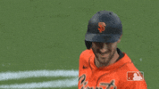 Regular Season Sport GIF by MLB