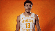 Lets Go Sport GIF by Tennessee Athletics