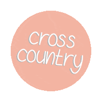 tillymphotography horse jumping pony riding Sticker