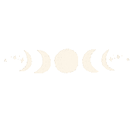 Night Magic Sticker by Lauren Fox
