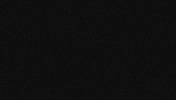 adg800 union solidarity union strong unionstrong GIF